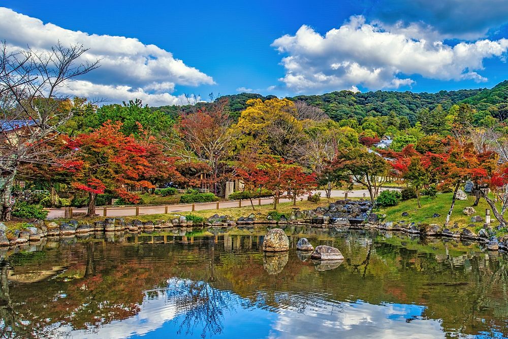 Seasonal scenery in Kyoto’s Higashiyama — cherry blossoms, green maples, autumn foliage, snow